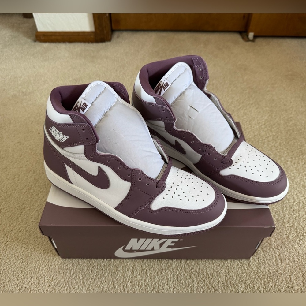 Air Jordan 1 Retro High OG DZ5485